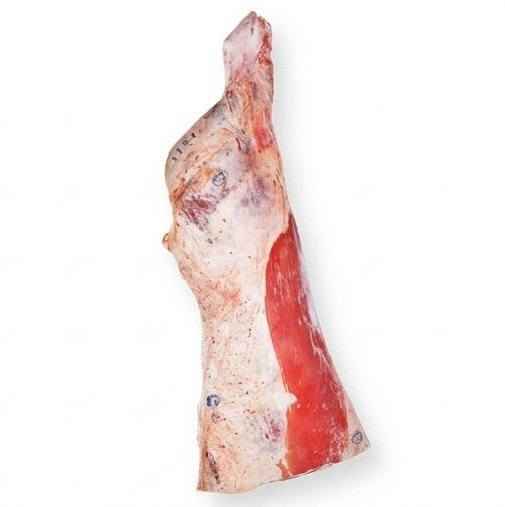 Frozen Beef Fore Quarters Supply