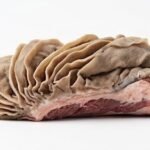 Quality Omasum Beef Meat