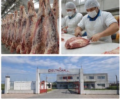 Deltacar S.A. FACTORY MEAT PROCESSING